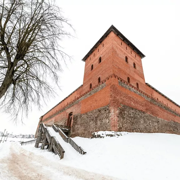 Фотография 1 - Лидский замок, туристический комплекс «Вольный мельник» + дегустация